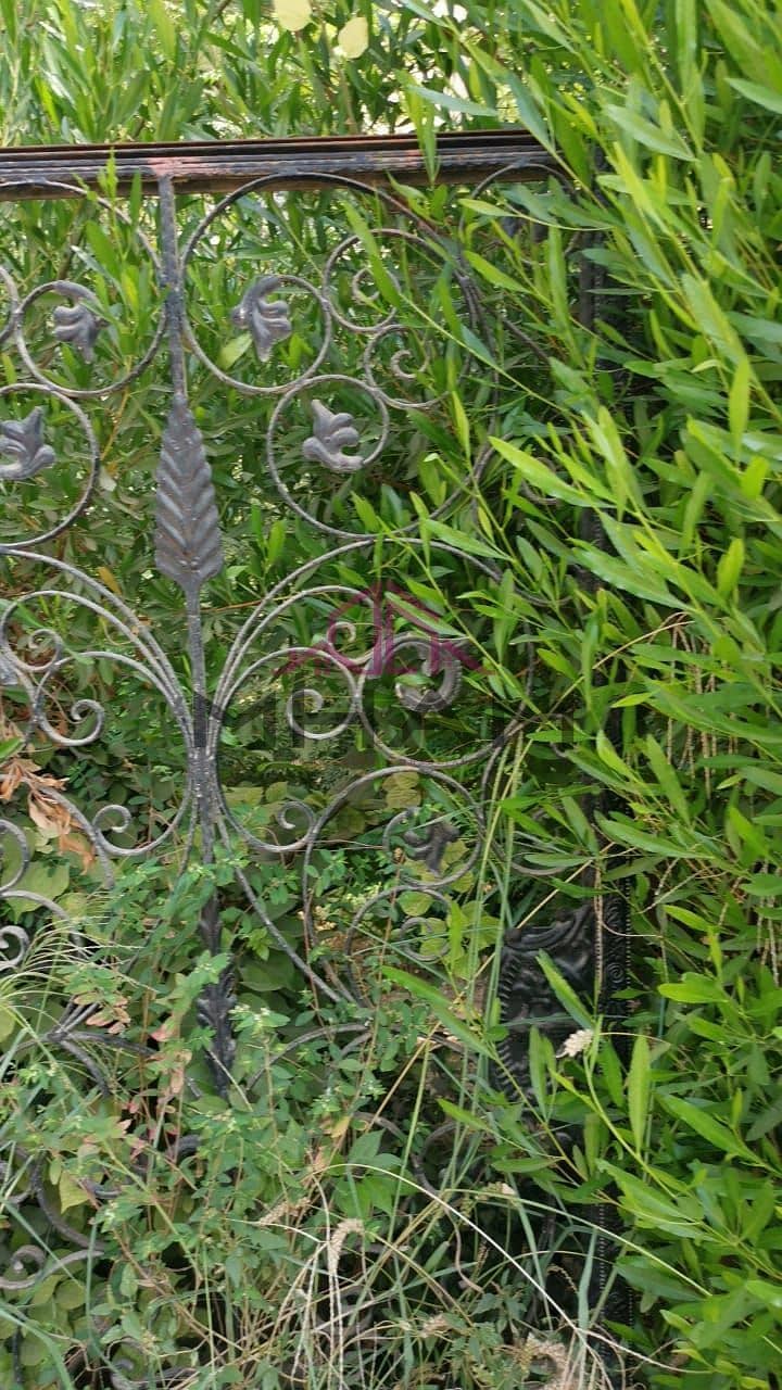 4 photo_5821224628498664469_y. jpg