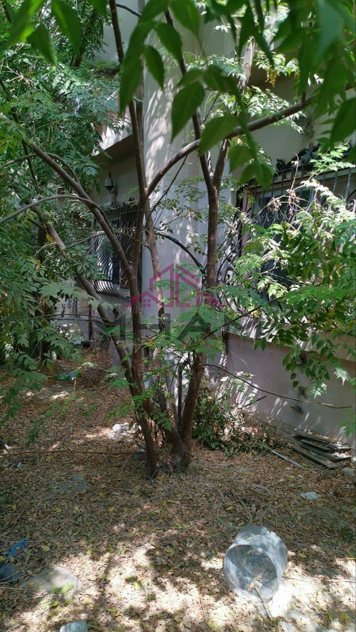 9 photo_5821224628498664479_y. jpg