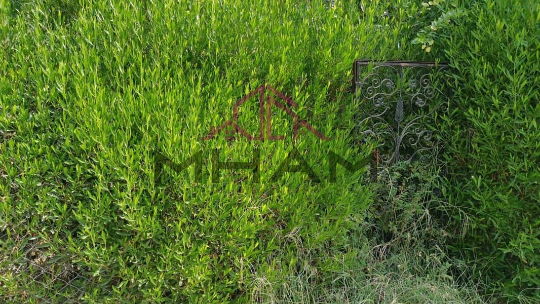 12 photo_5821224628498664482_y. jpg