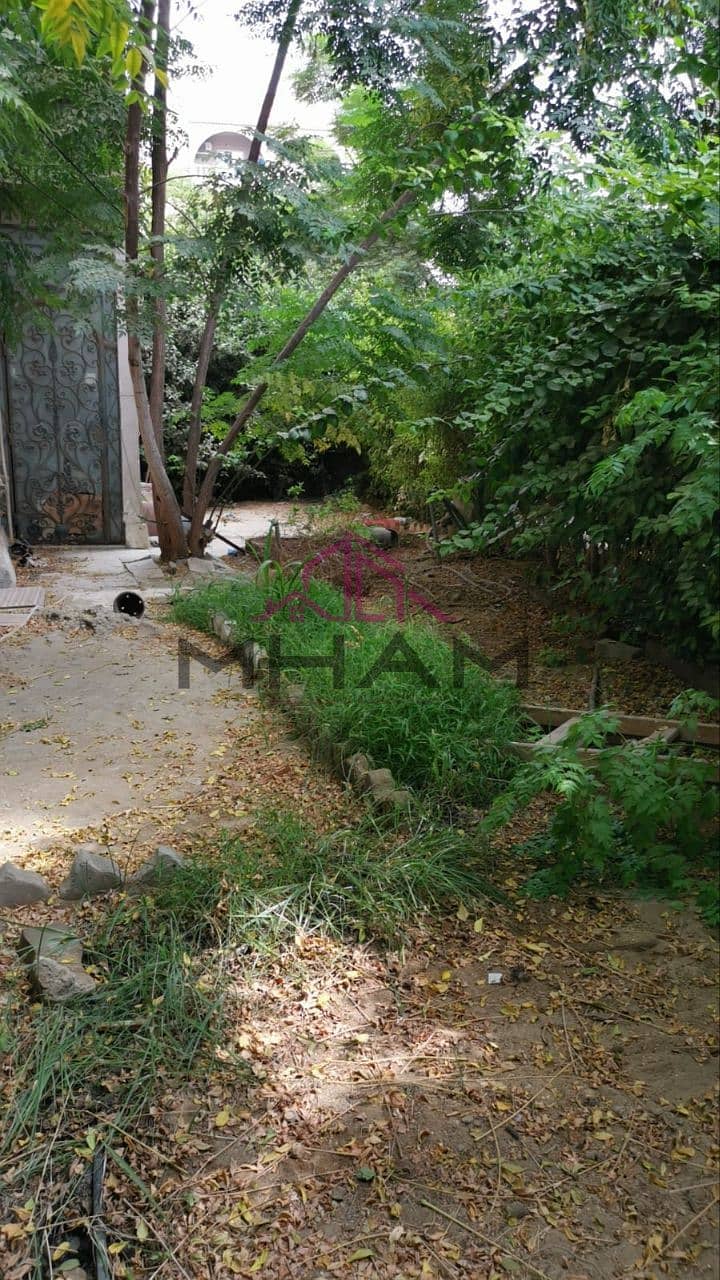 13 photo_5821224628498664483_y. jpg