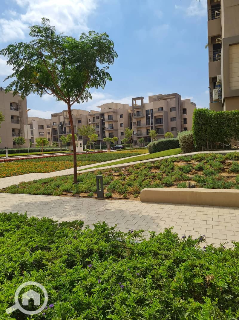 7 310542090_1290909531663021_4709518589901434019_n. jpg