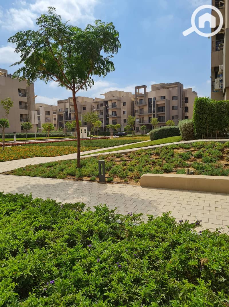 10 310772349_767094161147002_1461011240967530769_n. jpg