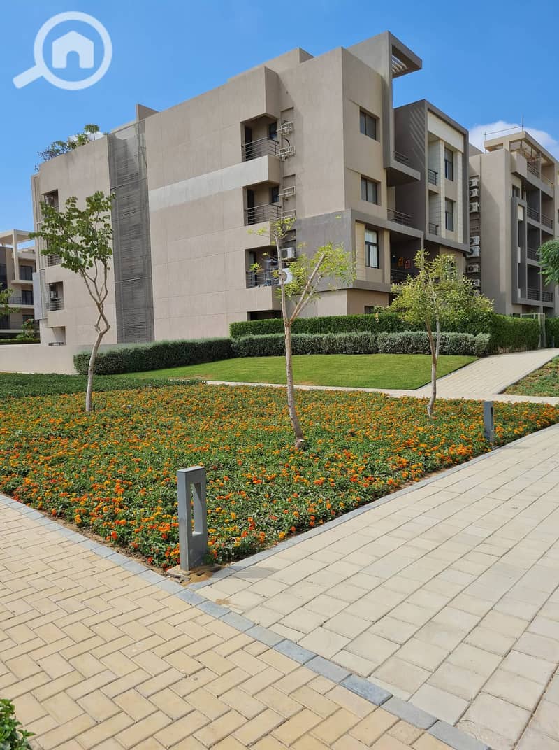 11 310827290_808180403834946_7215642045744043674_n. jpg