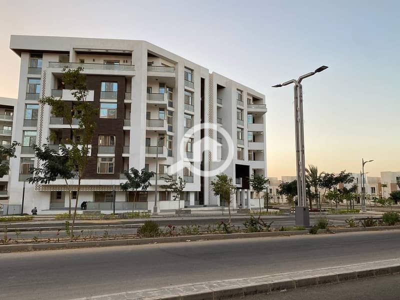 479182099_596331076602763_7757036320740596684_n. jpg 479182099_596331076602763_7757036320740596684_n. jpg