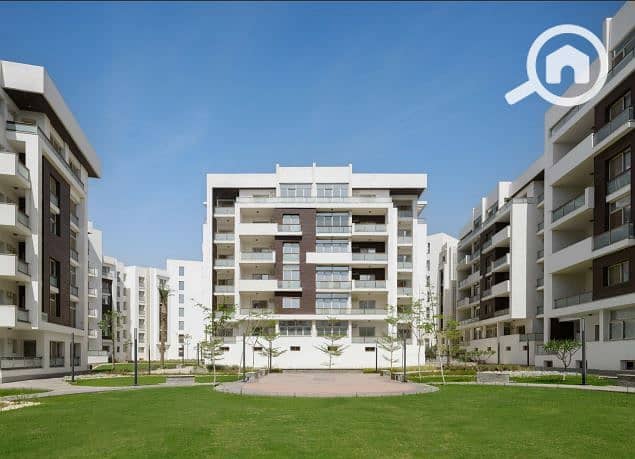 4 477542306_596331063269431_4879902252559349211_n. jpg