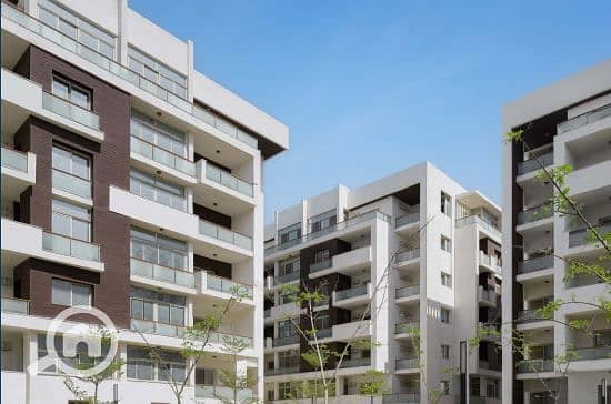 6 480049753_596330859936118_1394748001284403727_n. jpg