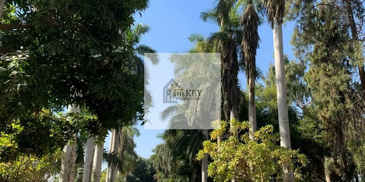 8 The-Best-Neighborhoods-in-Sheikh-Zayed-1400x700. jpg