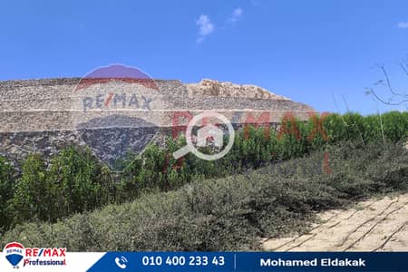 5 Bedroom Villa for Sale in Agami, Alexandria - IMG_20250807_133039. jpg