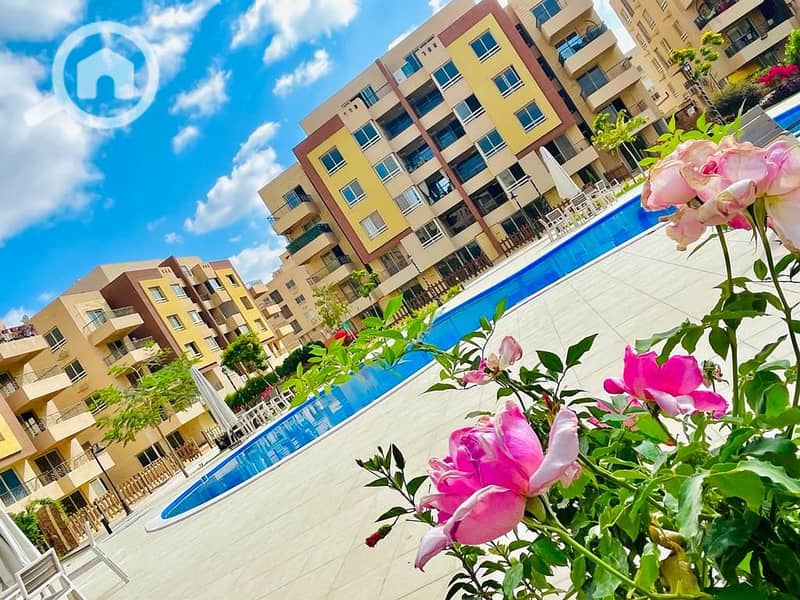 WhatsApp Image 2025-11-16 at 6.05. 05 PM. jpeg WhatsApp Image 2025-11-16 at 6.05. 05 PM. jpeg