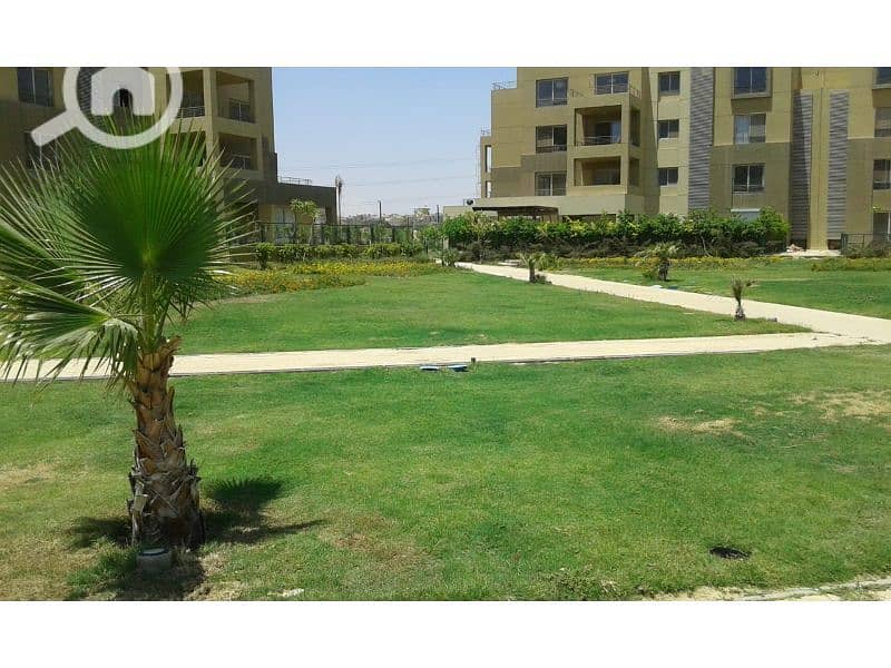 11 WhatsApp Image 2019-07-15 at 9.46. 54 PM. jpg