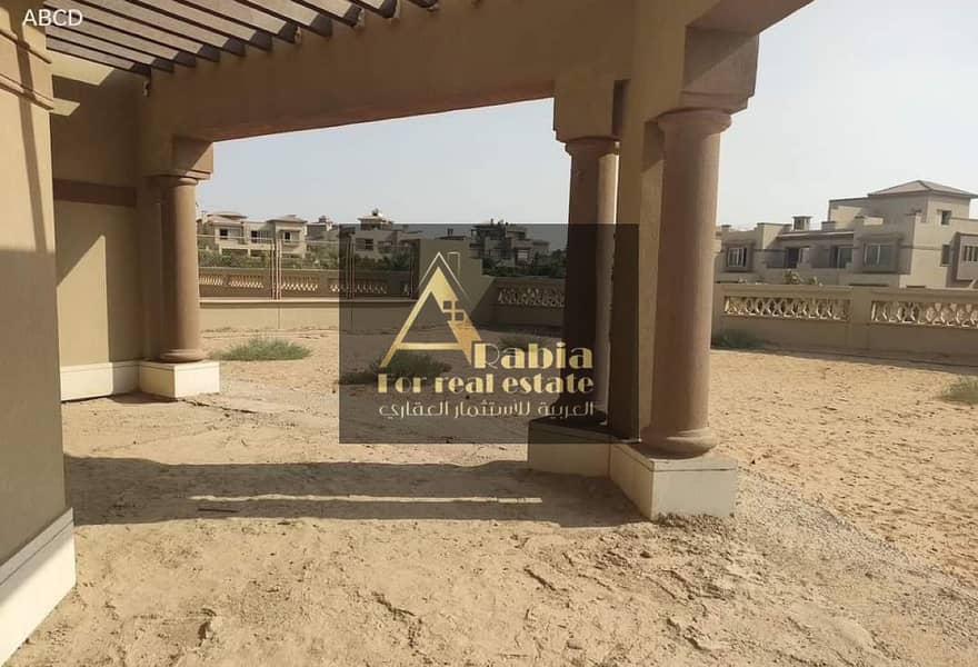 13 17950795-a542-4678-bd91-226c249c0243. jpg