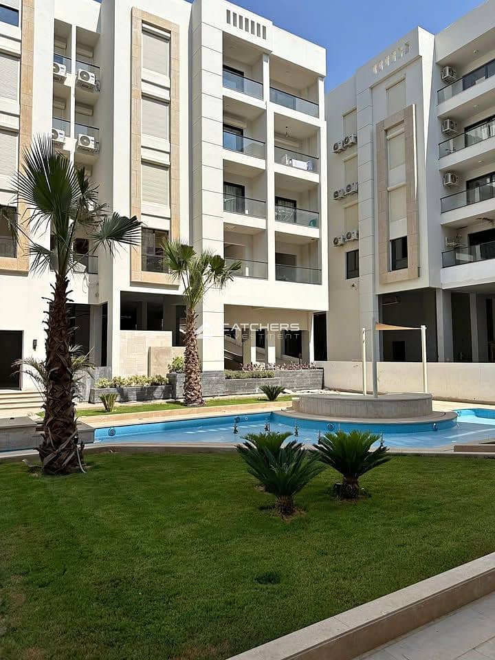 7 533630484_2926906567697365_236539585352310564_n. jpg