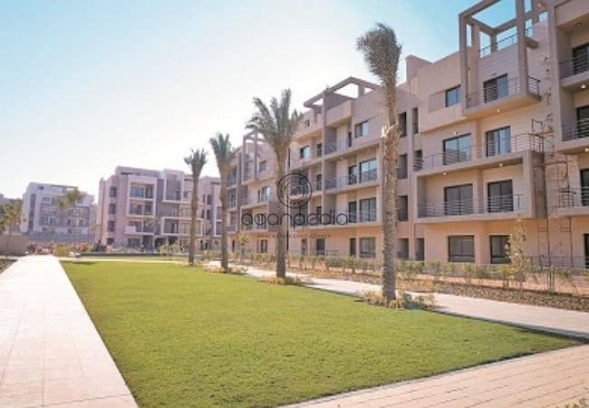 4 WhatsApp Image 2025-11-16 at 4.29. 18 PM (1). jpeg