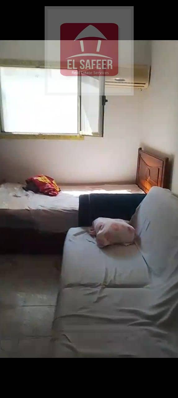 7 74af8606-1779-4787-844d-85a5dc72a27b. jpg