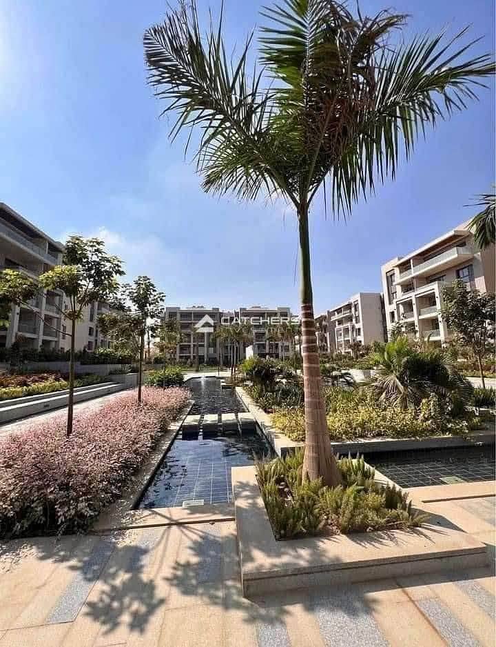 10 543357119_122116442630976307_5049652556361112003_n. jpg