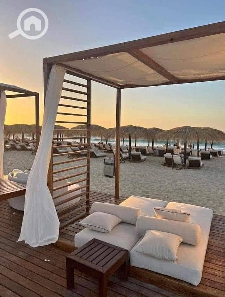 2 539429675_122248342430032437_4862256734871689379_n. jpg