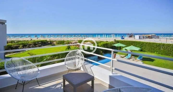 10 558063576_122131461176942280_8474436162361493770_n. jpg