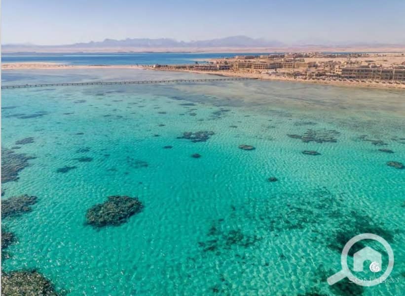 10 Screenshot_27-2-2024_14495_. jpeg