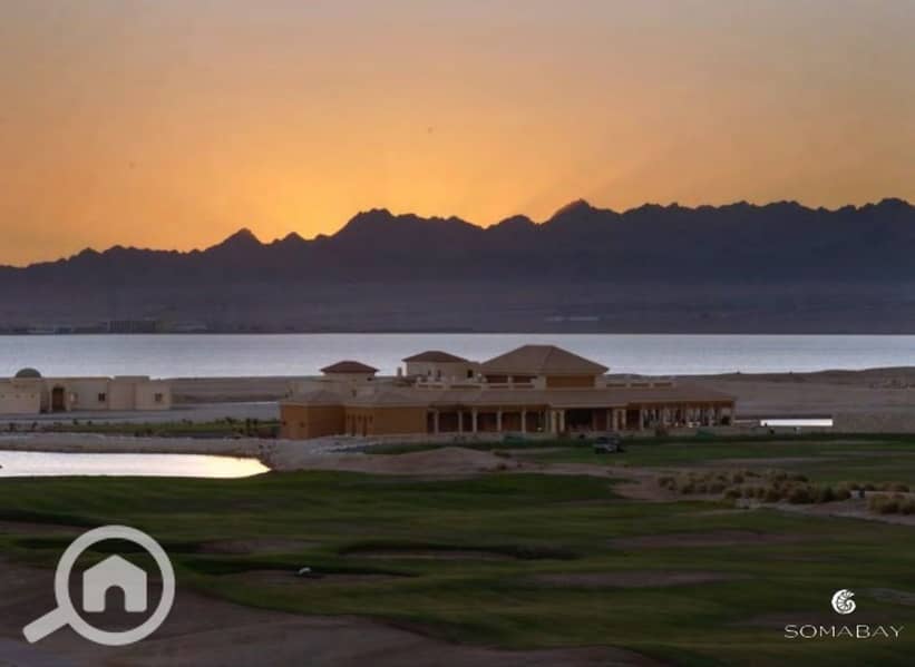 14 Screenshot_27-2-2024_144747_. jpeg