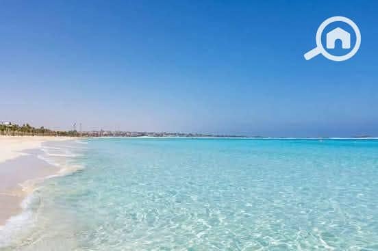 6 541085910_702785812765934_2212464299508579243_n. jpg