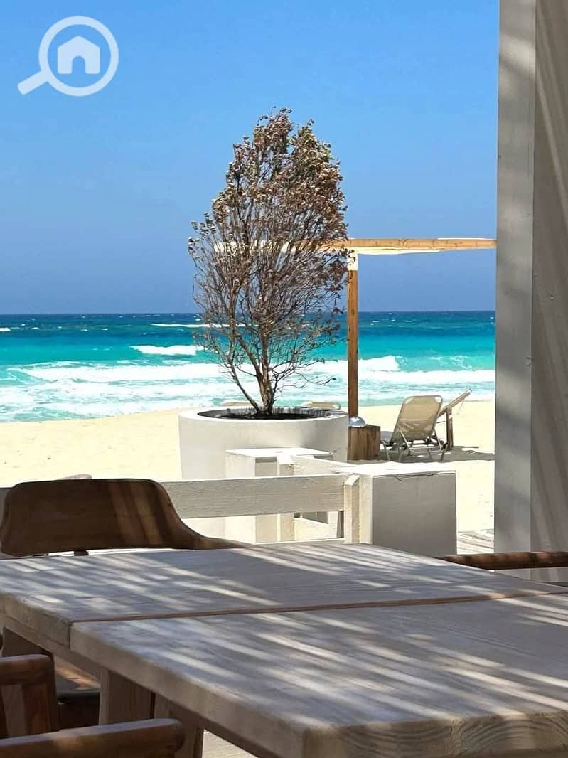 7 547946339_819438240418632_2468087532144434959_n. jpg