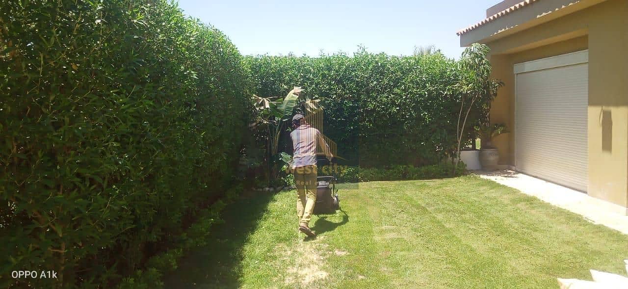 3 IMG-20251116-WA0127. jpg