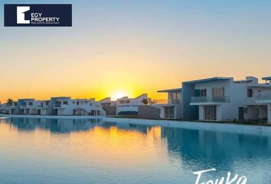 4 6d7f57c1-37a3-4766-bf8a-c528314f7a4c_original (6). jpg