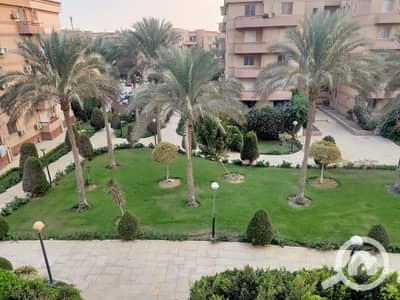 فلیٹ 3 غرف نوم للايجار في القاهرة الجديدة، القاهرة - 10276. jpg