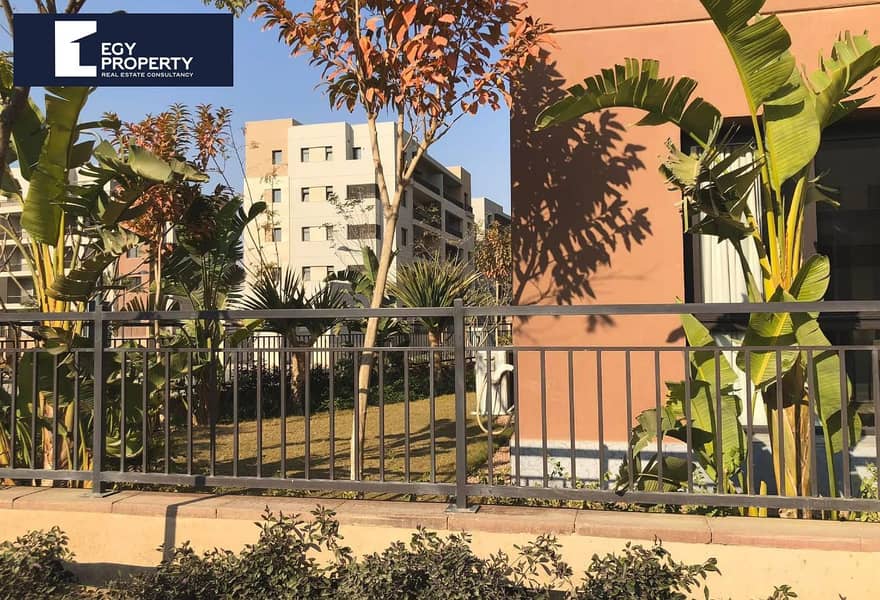 2 ed28fdbe-6536-4e1c-b432-b0d7d31f06b4 (1). jpg