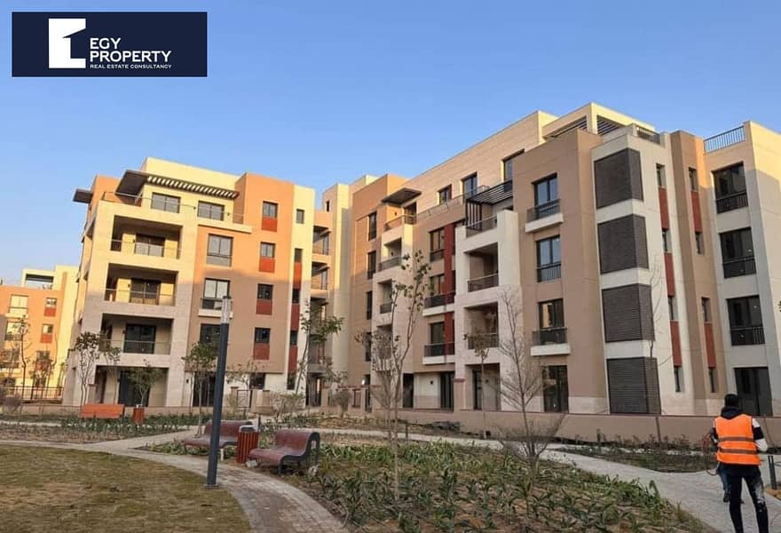 4 50e81b11-e362-4ee9-8c1a-3d561bfb59e2 (1). jpg