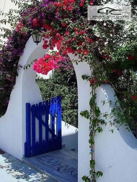 6 WhatsApp Image 2025-11-01 at 8.18. 30 PM (4). jpeg