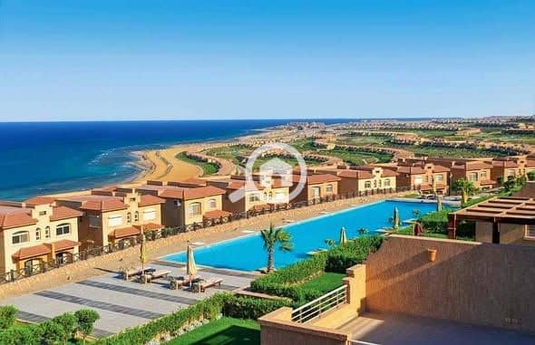 571128469_702410642876950_3257025686680563290_n. jpg 571128469_702410642876950_3257025686680563290_n. jpg