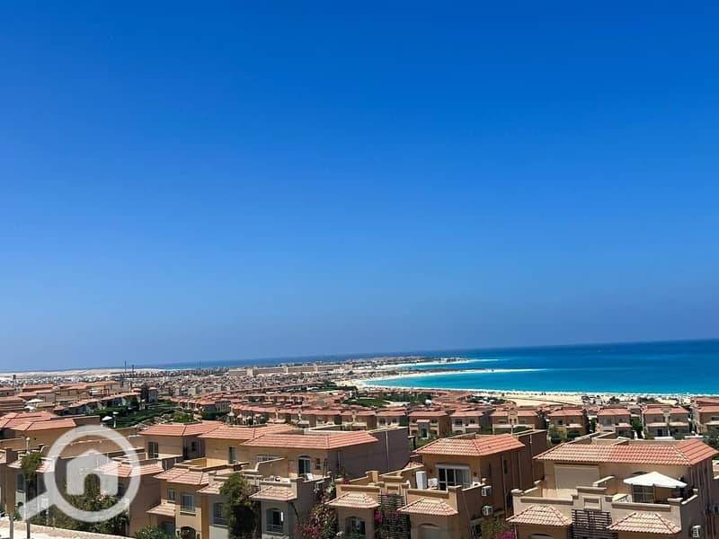 4 476610768_588780880658866_3095189746002589564_n. jpg