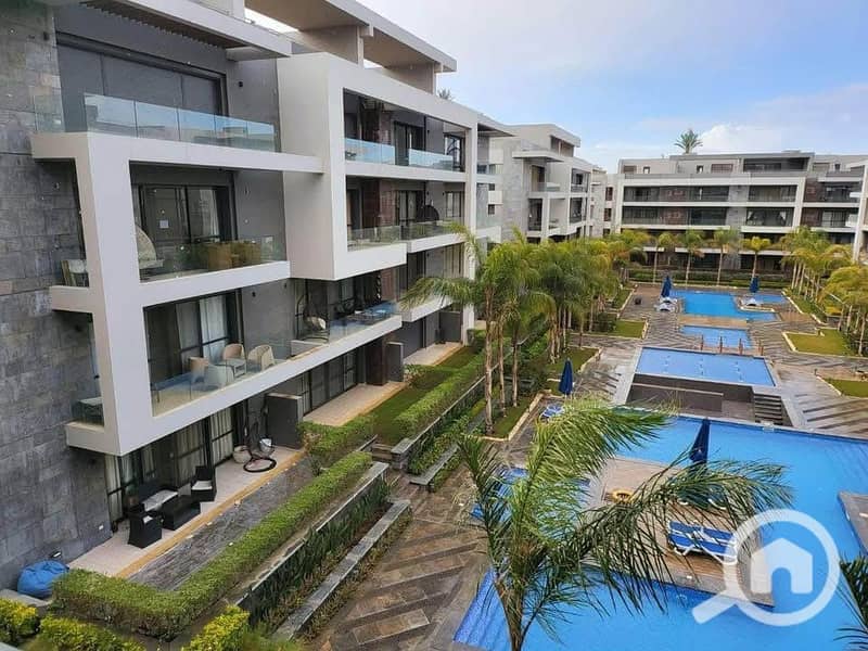 562187451_122124974924962923_2666623143665915301_n. jpg 562187451_122124974924962923_2666623143665915301_n. jpg