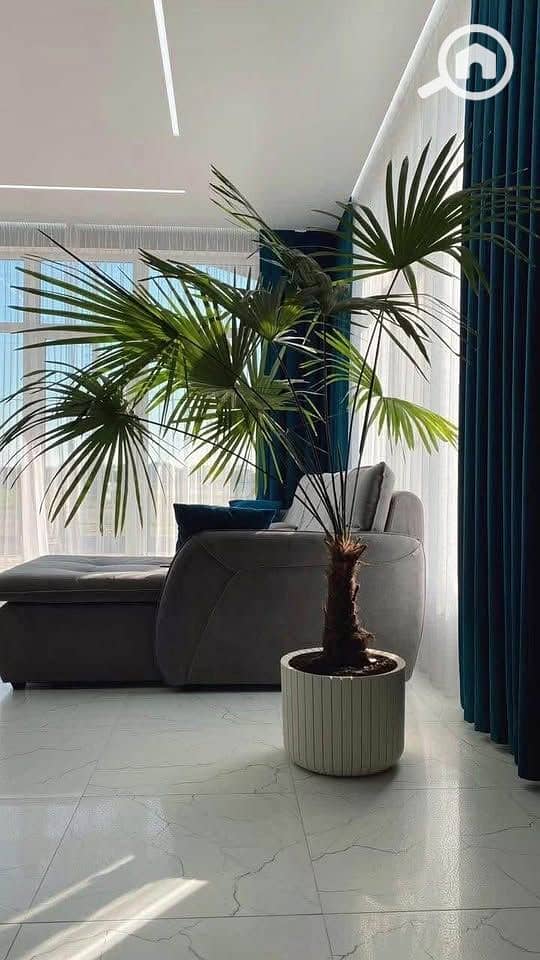 8 577483456_700839383059549_8162123153154998810_n. jpg