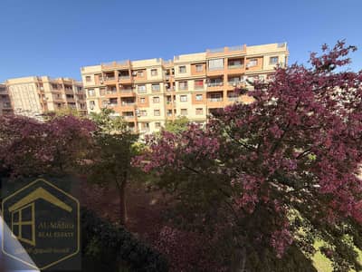 شقة 3 غرف نوم للايجار في مدينتي، القاهرة - IMG_9011. jpg