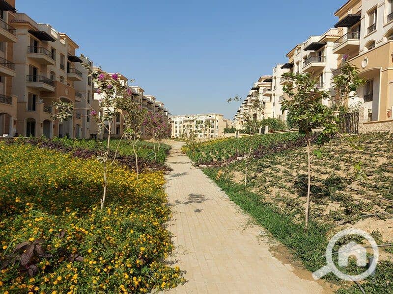 11 244521861_391345082693279_6857266022409871508_n. jpg