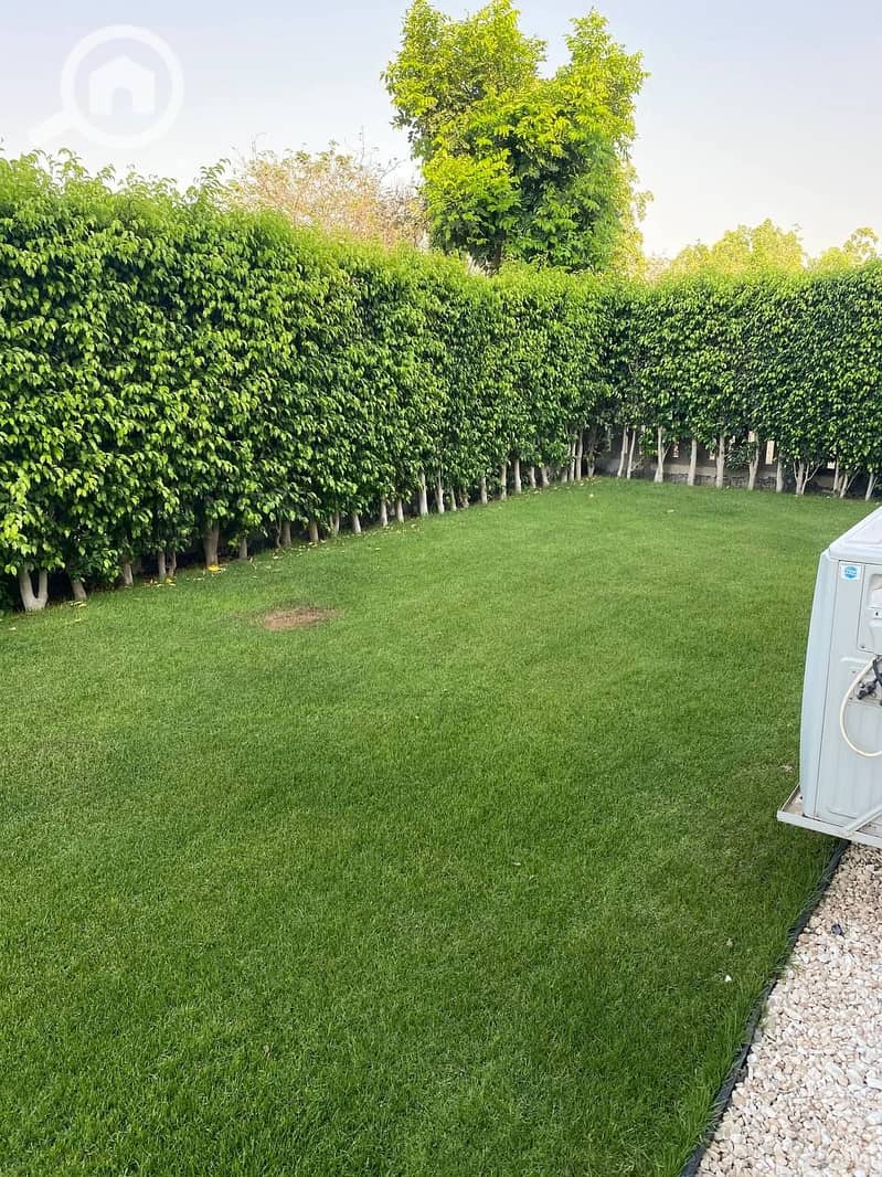 8 photo_2025-07-15_00-01-44. jpg