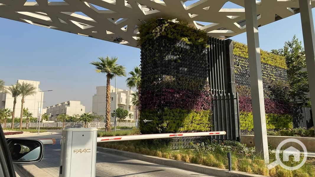 10 photo_2025-03-23_23-21-31. jpg