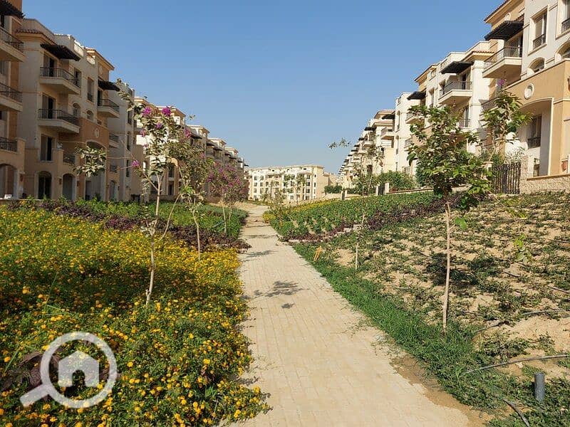 11 244521861_391345082693279_6857266022409871508_n. jpg