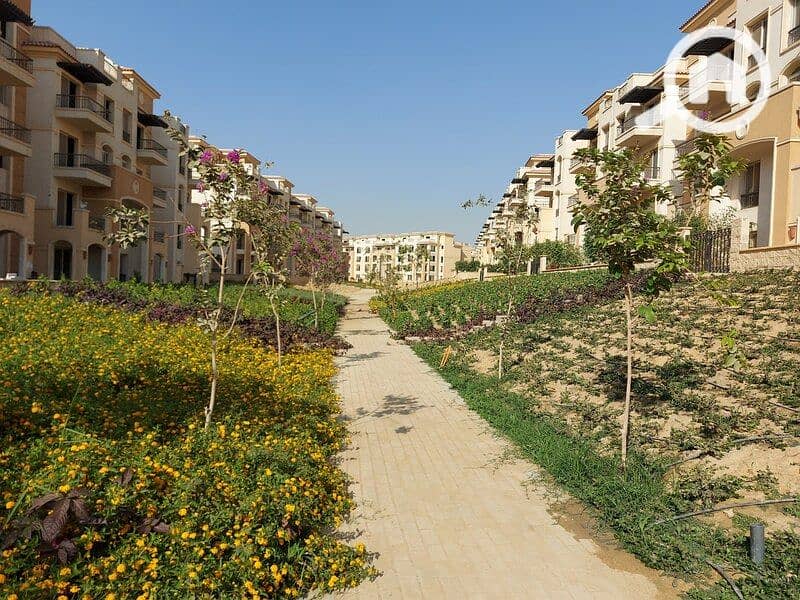 11 244521861_391345082693279_6857266022409871508_n. jpg