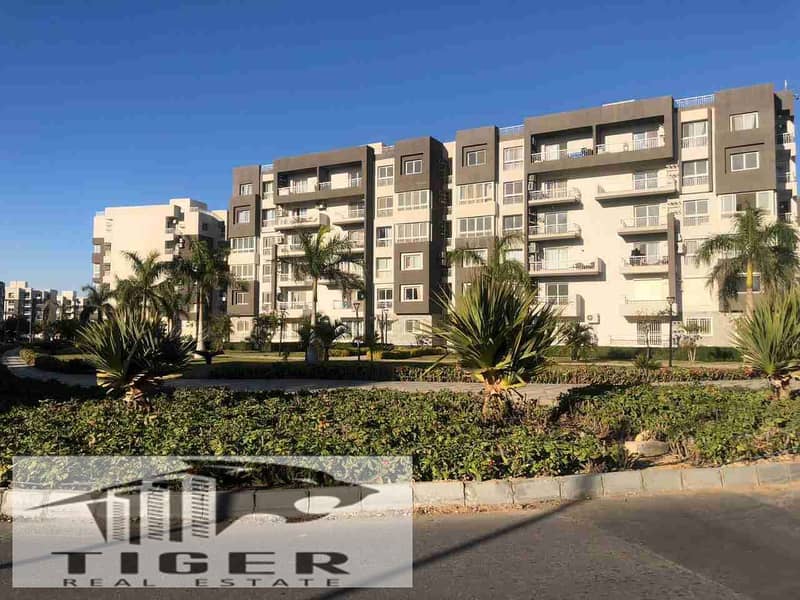 1000471572. jpg 1000471572. jpg