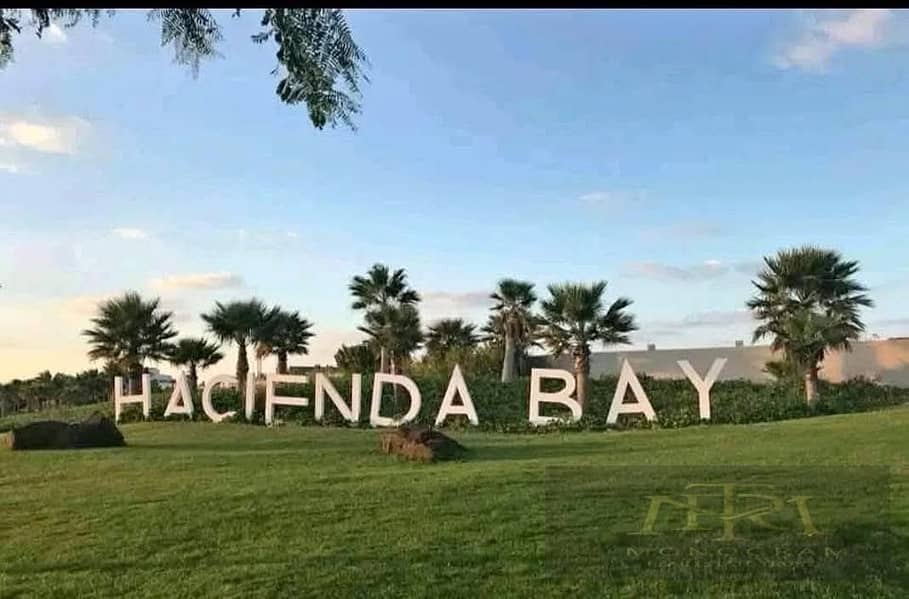 4 579887040_2020999895324232_2827388432896016836_n. jpg