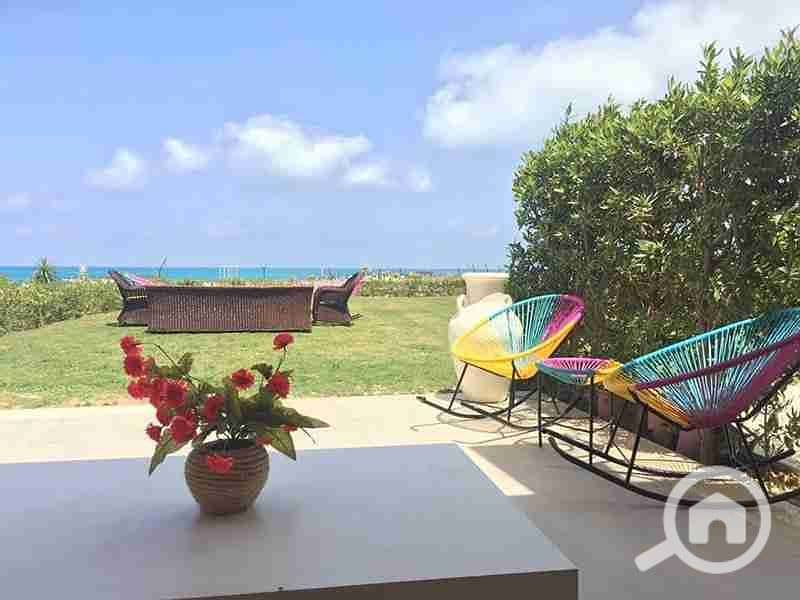 2 FB_IMG_1659876491305. jpg