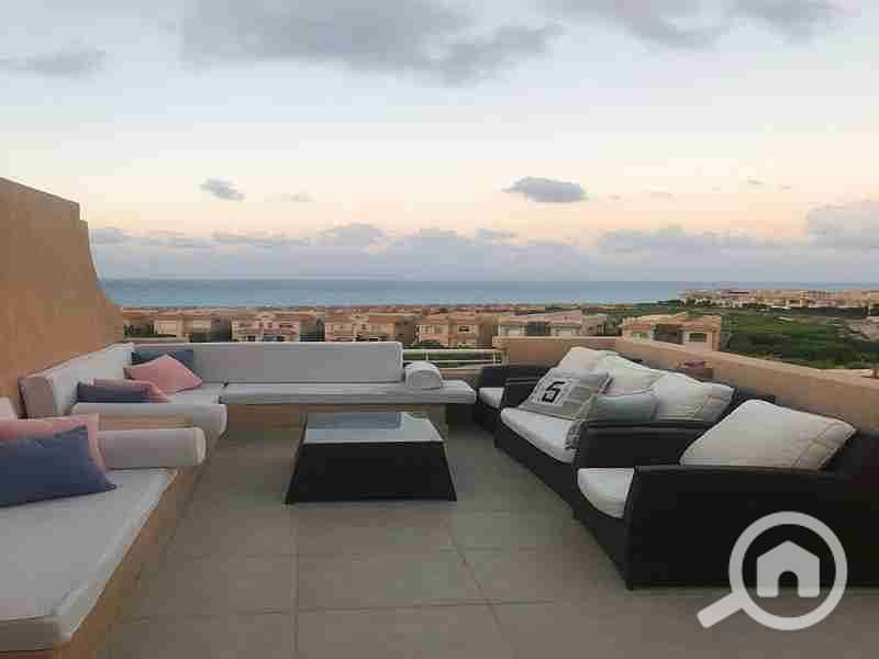 4 FB_IMG_1691224299804. jpg