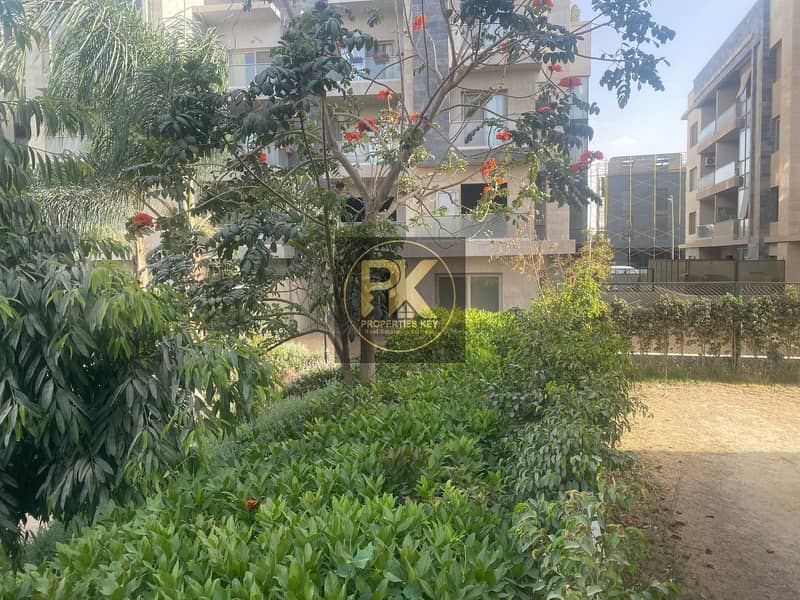 6 66DFB85F-61A9-4342-8843-8CAD1AFB2EF6. jpeg