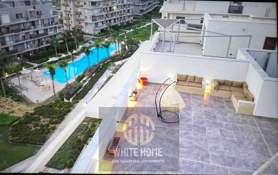 12 21af1739-07a4-4384-b97d-22c0e8814c5c. jpeg