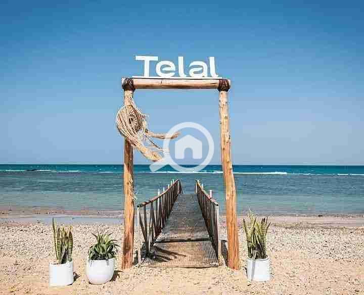 8 FB_IMG_1723624399663. jpg