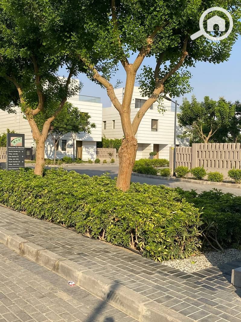 9 photo_2025-07-15_00-02-53. jpg