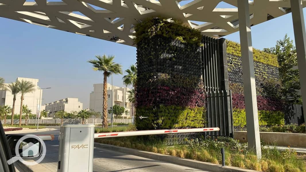 10 photo_2025-03-23_23-21-31. jpg